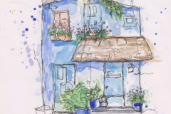 Blue-House